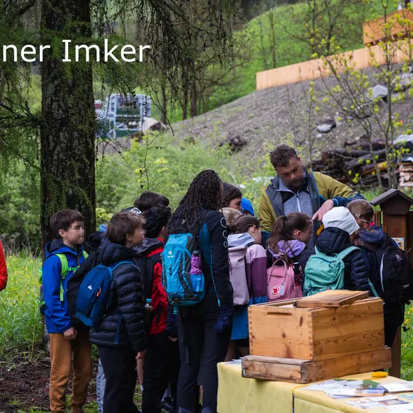 Sextner Imker erklären die Bedeutung der Biene